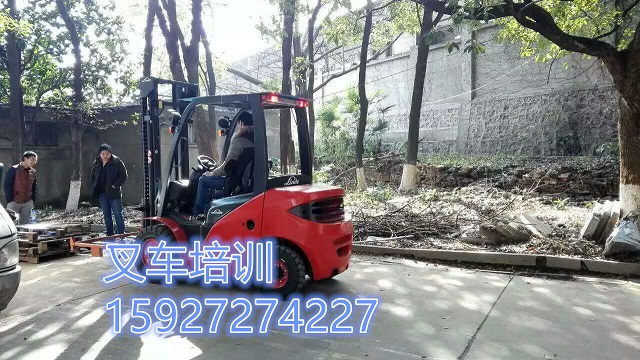 587872530424173329.jpg